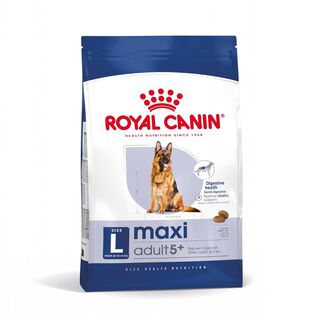 Royal Canin Maxi Adult 5+ ração para cães seniores de raça grande